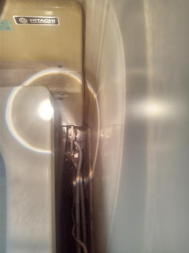 ＜真夏の闖入者＞その１ クロベエのこと