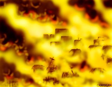 燃える街(フリー素材を加工)