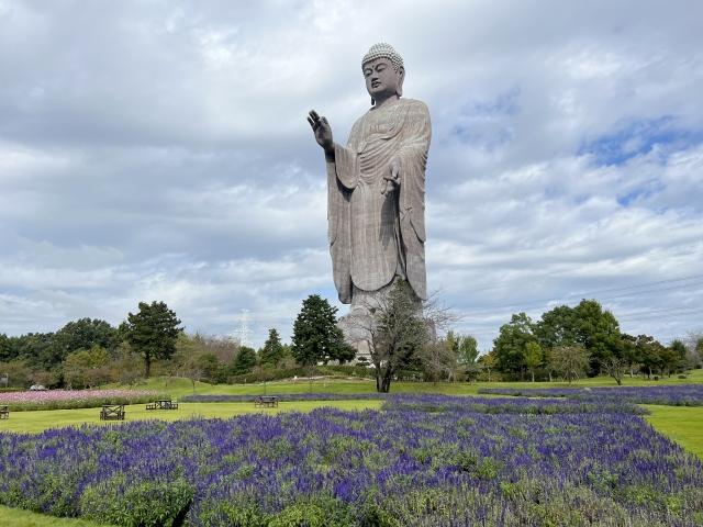 茅野市(フリー素材より)