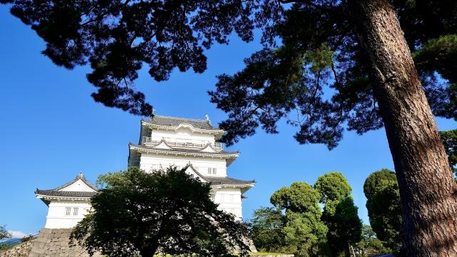 小田原城(フリー素材より)