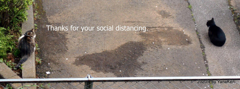 thank you for your social disancing.