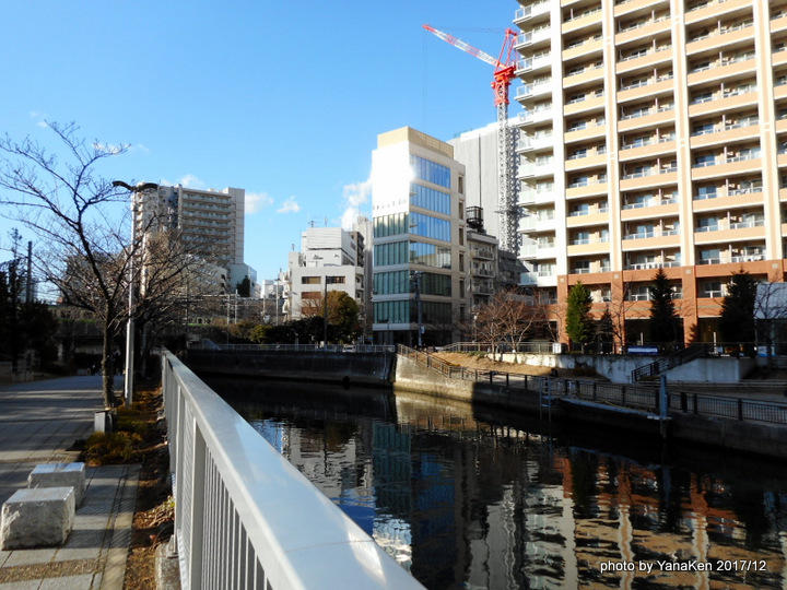 三井ガーデンホテル五反田近隣の目黒川