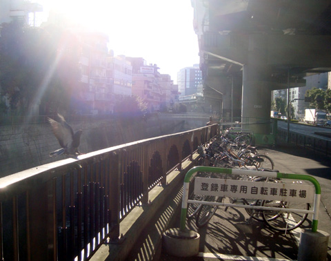朝の華水橋(2012/3)