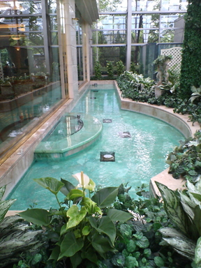 カデンツァ光が丘 アトリウムの泉水