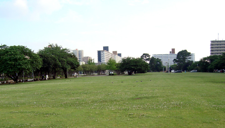 ほとんどが「原っぱ」の稲岸公園(千葉市美浜区)。