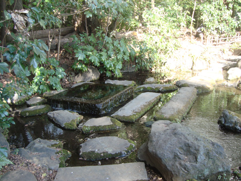 神田川の「水源」、井の頭池の湧水「お茶の水」