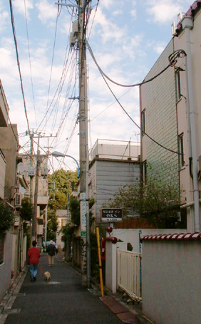 ビジネスインのむら前の通り