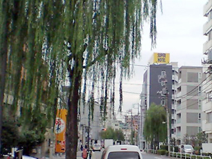 柳並木の広々した「元なぎさ通り」沿い。